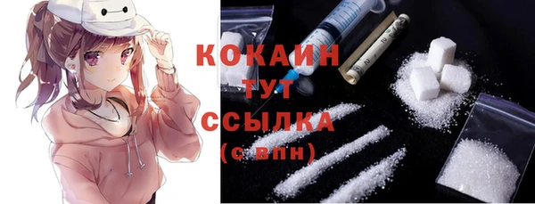 соль ск Горняк