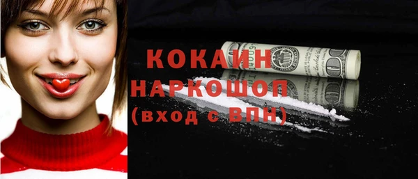 соль ск Горняк