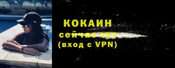 соль ск Горняк