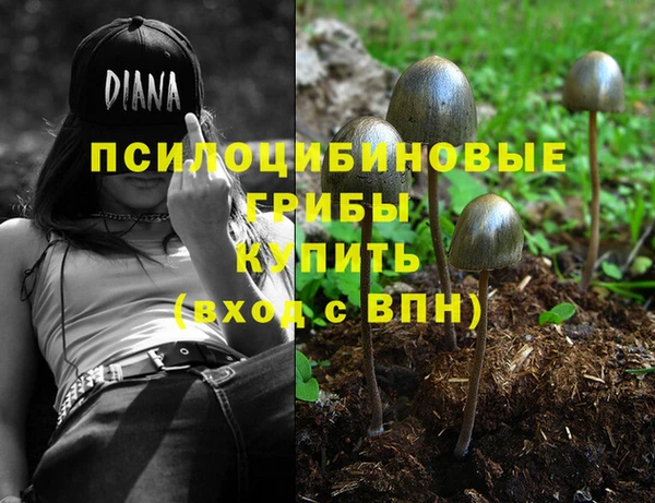 соль ск Горняк