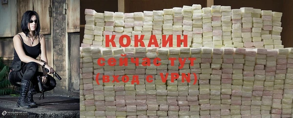 соль ск Горняк