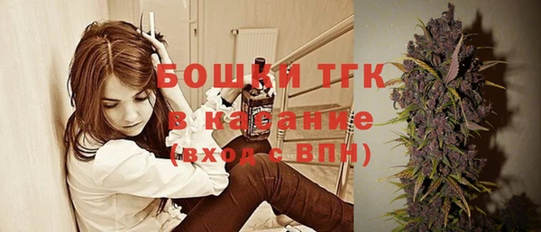 амф Горнозаводск