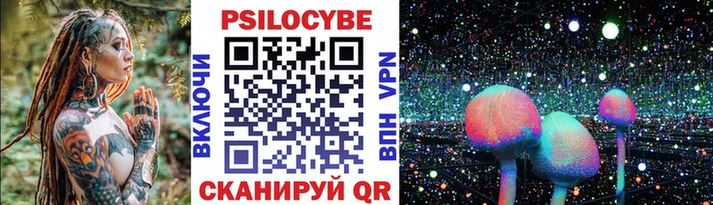 Псилоцибиновые грибы Cubensis  Меленки 